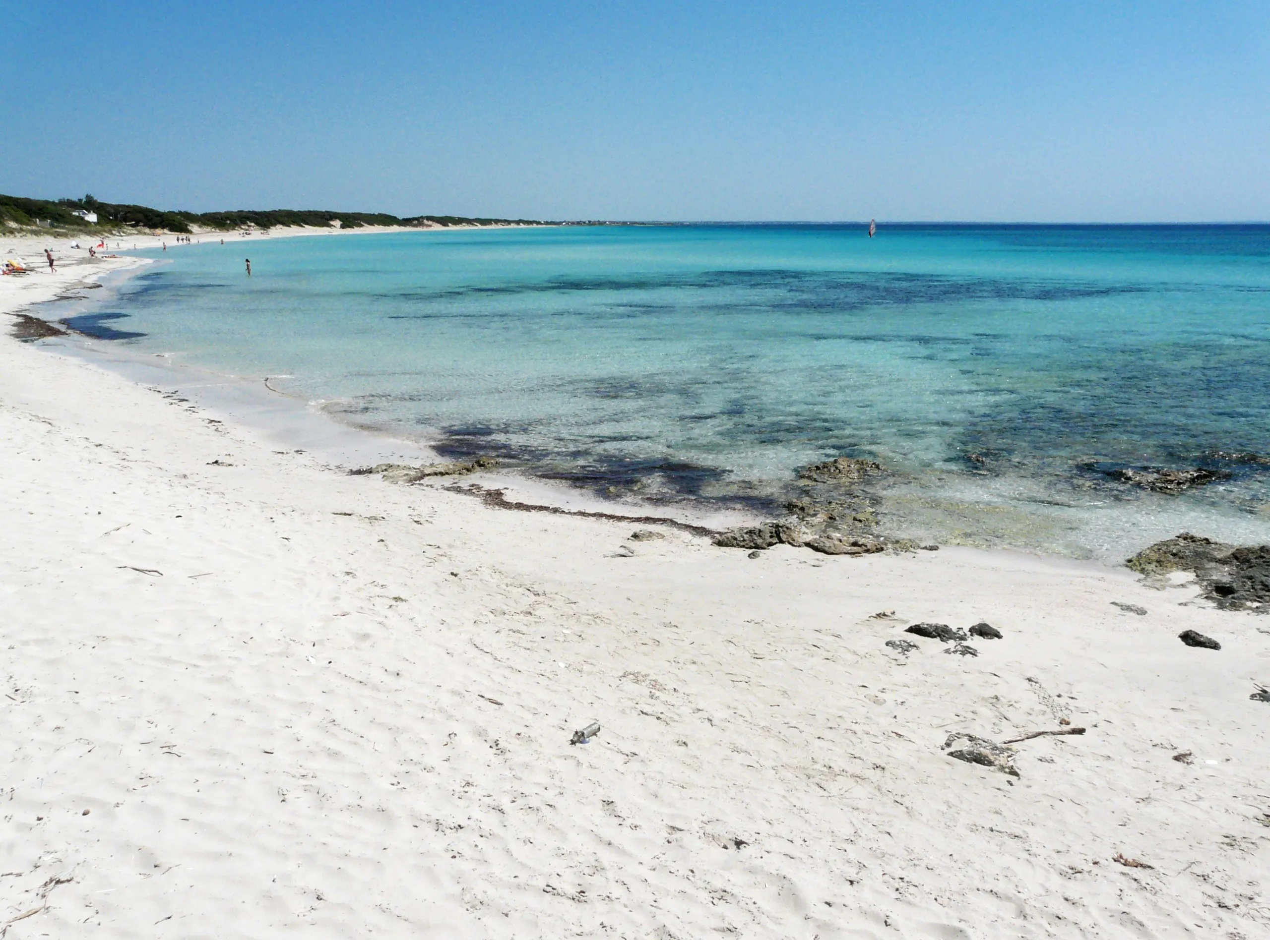 Una spiaggia di sabbia bianca che curva lungo l’acqua bassa e turchese, con la pineta in fondo e poche persone in lontananza